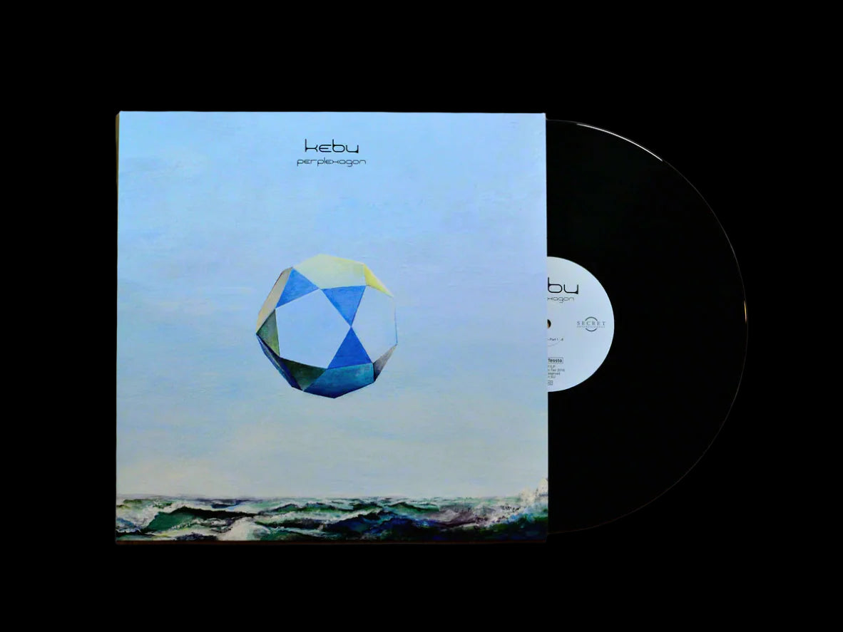 Perplexagon (Vinyl LP)