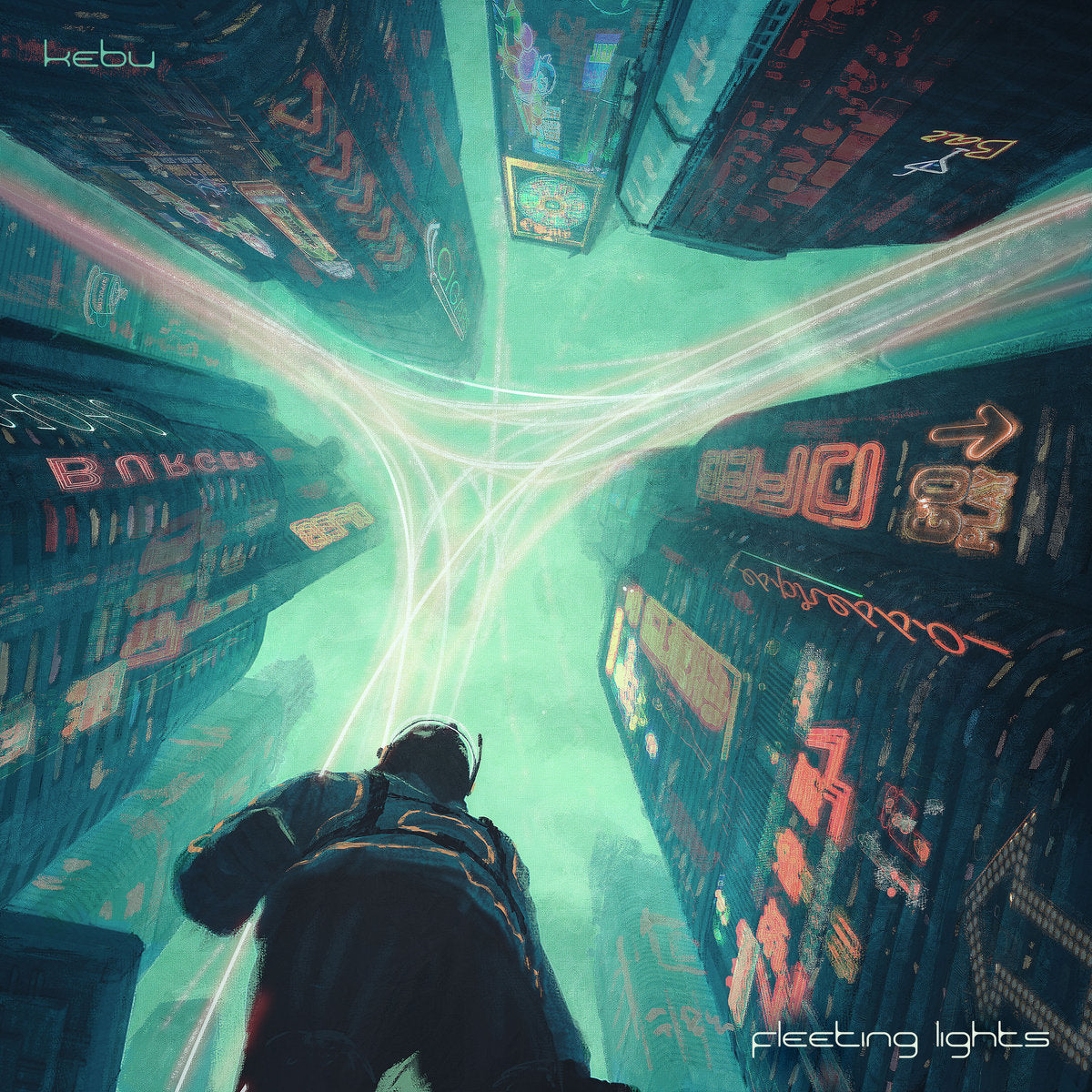 Fleeting Lights (download)